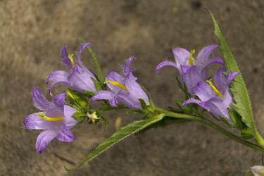 Similar image 7346125