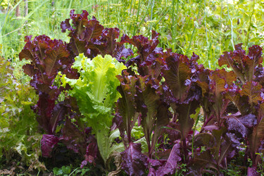 Similar image 7346127