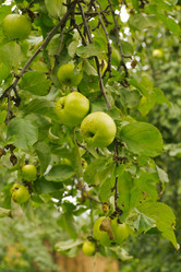 Similar image 7346128