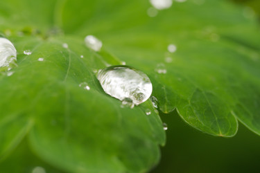 Similar image 7346129