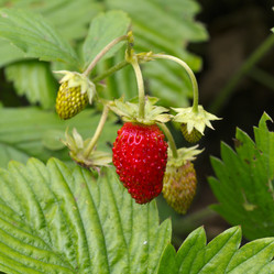 Similar image 7346130