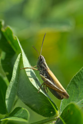 Similar image 7346132