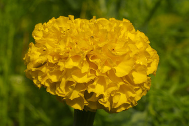 Similar image 7346134