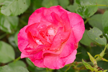 Similar image 7346137