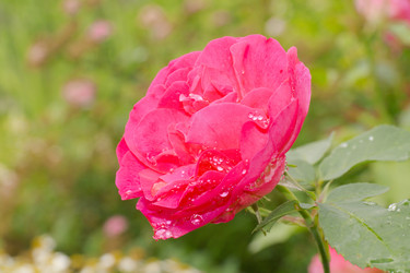 Similar image 7346138