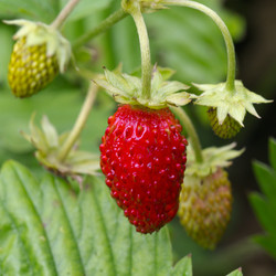 Similar image 7346140