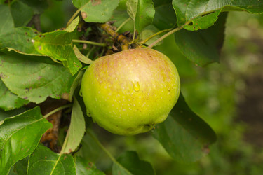 Similar image 7346141