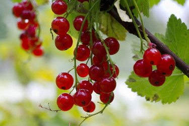 Similar image 7346159