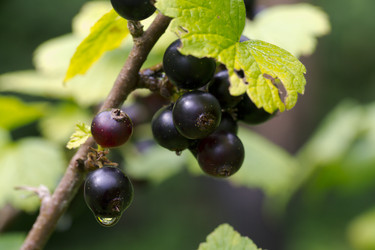 Similar image 7346160