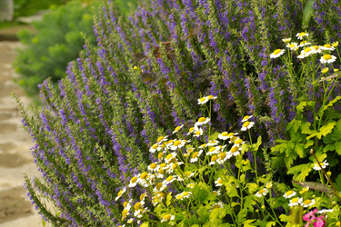 Similar image 7346166