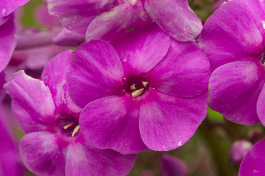 Similar image 7346167