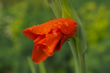 Similar image 7346168