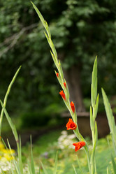 Similar image 7346169