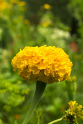 Similar image 7346170