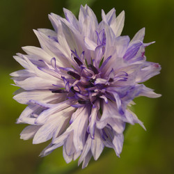 Similar image 7346171