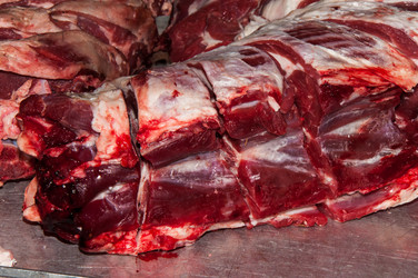 Similar image 7347823