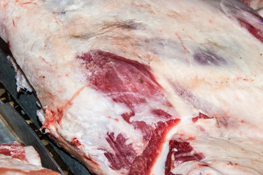 Similar image 7347824