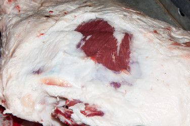 Similar image 7347825