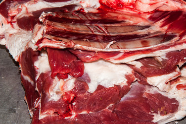 Similar image 7347829