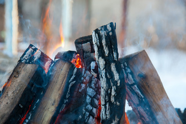 Similar image 7347839