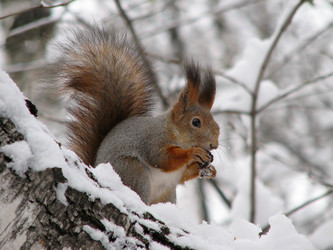 Similar image 7348276