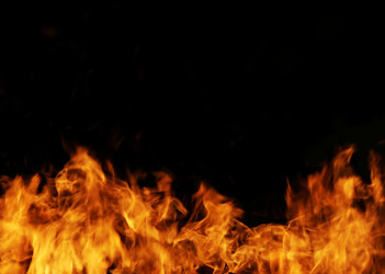 Similar image 7348326