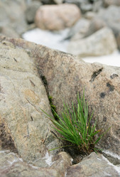 Similar image 7348378