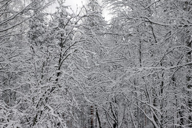 Similar image 7352589