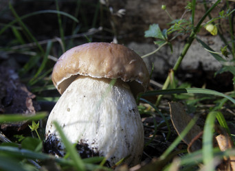 Similar image 7352597