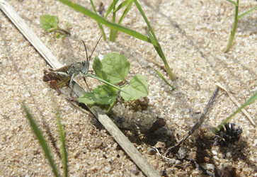 Similar image 7352600