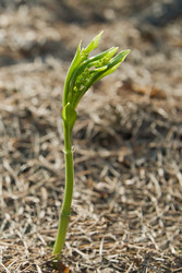 Similar image 7352684