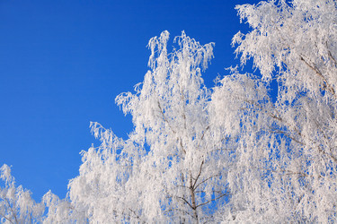 Similar image 7356051