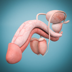 Similar image 7356063