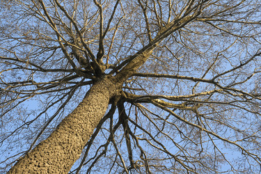 Similar image 7356076