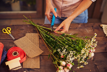 Similar image 7356542