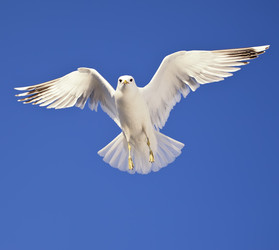 Similar image 7360673