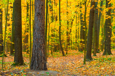 Similar image 7360741