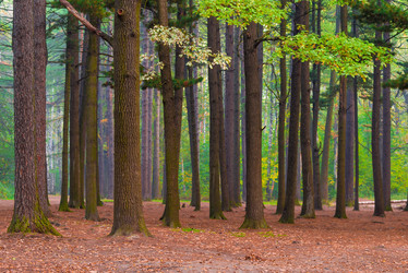 Similar image 7360757