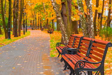 Similar image 7360758