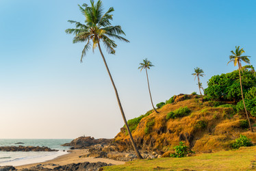 Similar image 7360766