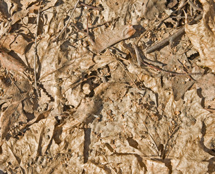 Similar image 7361332