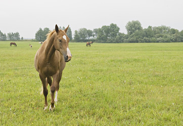 Similar image 7361462