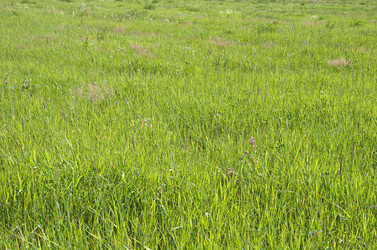 Similar image 7361477