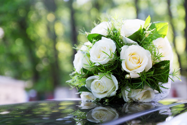 Similar image 7361600