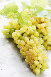 Similar image 7361640