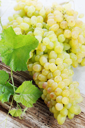 Similar image 7361641