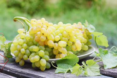 Similar image 7361643