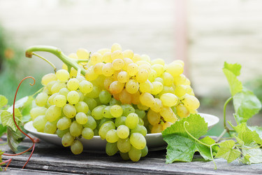 Similar image 7361644