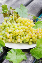 Similar image 7361646