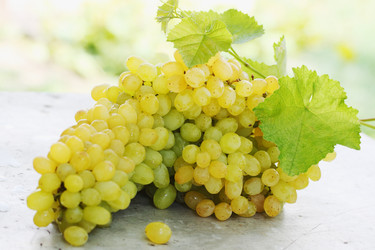 Similar image 7361648